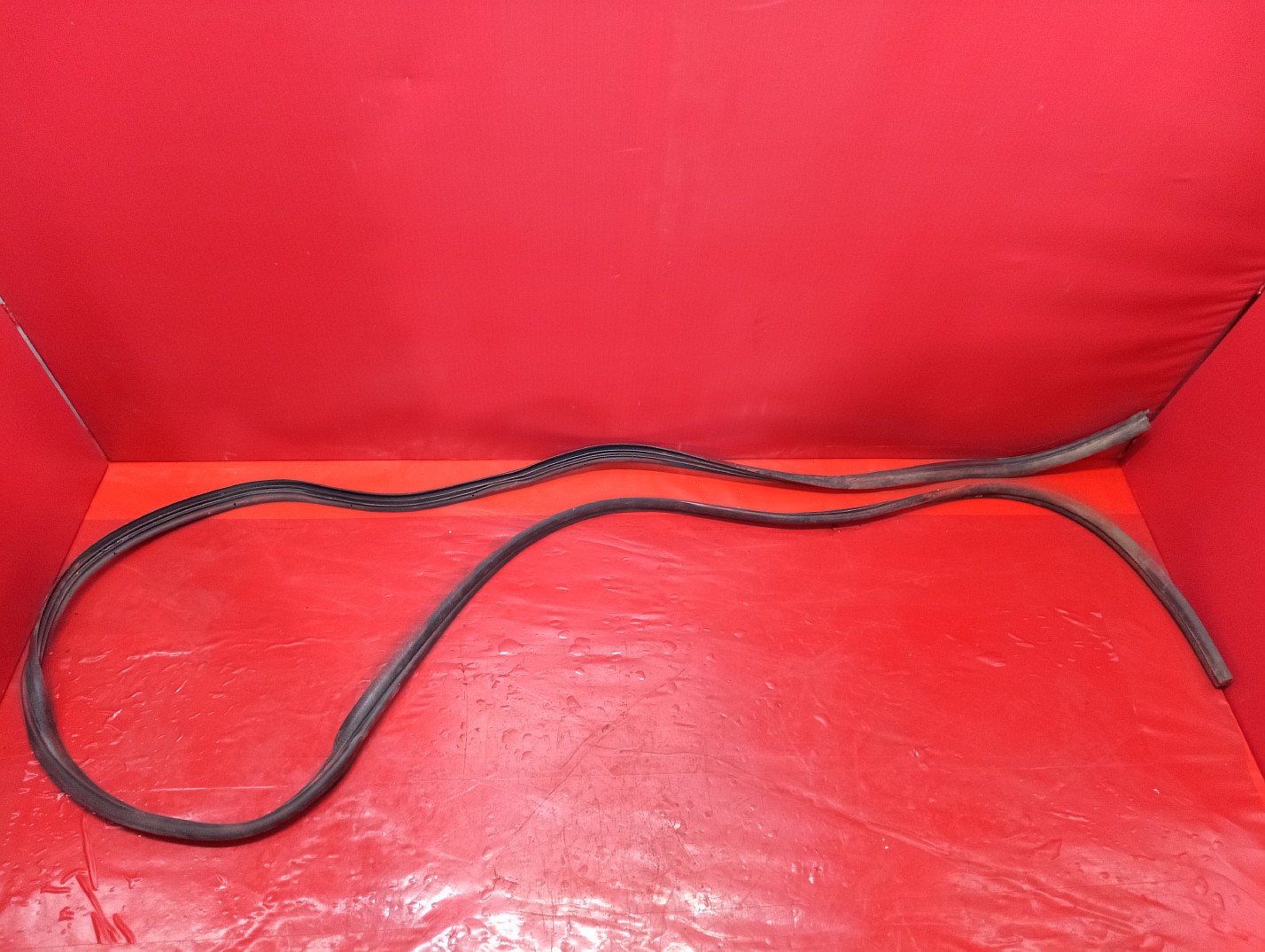 Ущільнювач дверей RENAULT MASTER III - 1