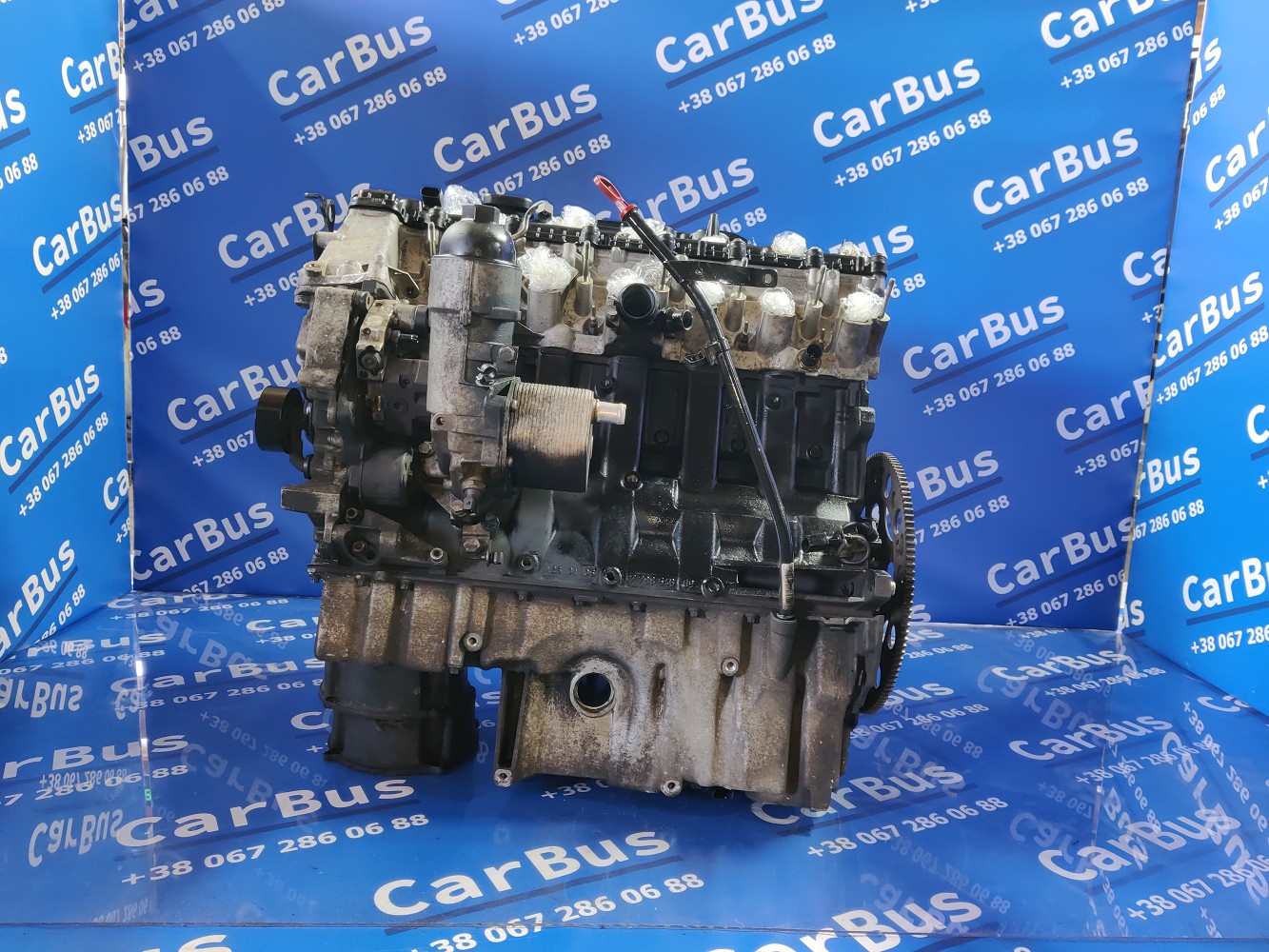 Двигатель M57 306D2 3.0d BMW X5 E53 (2003-2006) рестайл - 1