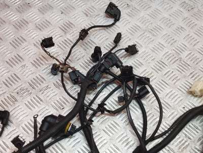 Проводка двигуна BMW X3 F25 (2010-2017)