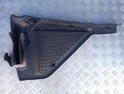 Водосток защита жабо BMW X5 E70 (2007-2010) дорестайл