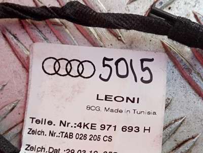 Проводка дверей задніх правих Audi E-TRON