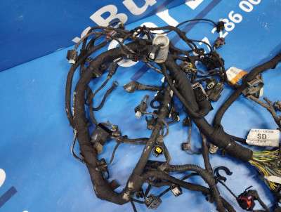 Проводка двигуна Ford Escape 3 FL ( 2012 - 2019 )