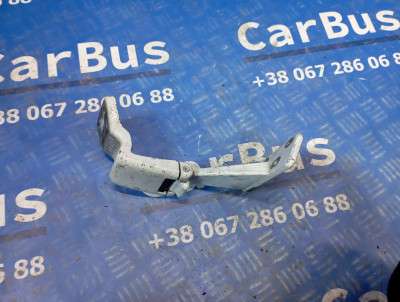 Петля двері розпашной Mercedes-Benz Vito W 639 (2010-2014) рестайл
