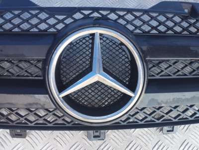 Решетка радиатора Mercedes-Benz Sprinter W 906 (2006-2014) дорестайл