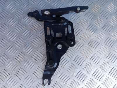 Петля капота ліва BMW X5 E70 (2007-2010) дорестайл