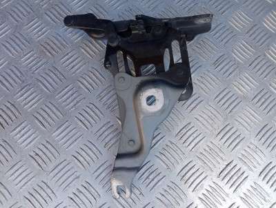 Петля капота права BMW X5 E70 (2007-2010) дорестайл