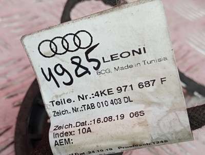 Проводка дверей задніх лівих Audi E-TRON