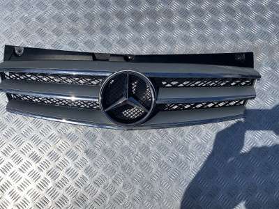 Решітка радіатора Mercedes-Benz Vito W 639 (2003-2010) дорестайл