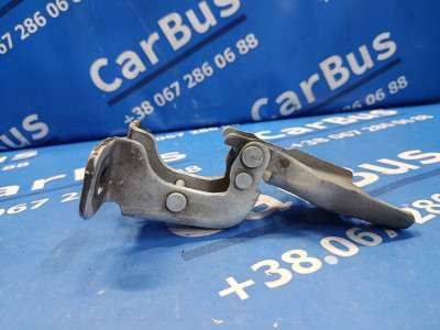 Петля двери передней RENAULT MASTER III