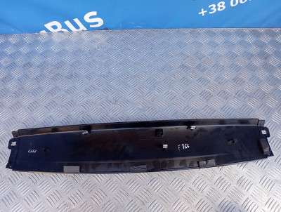 Накладка декоративная (молдинг) крышки (двери) багажника BMW X5 E70 (2007-2010) дорестайл