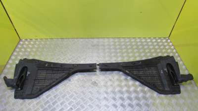 Жабо (пластик зливовий) BMW X5 E70 (2010-2013) рестайл
