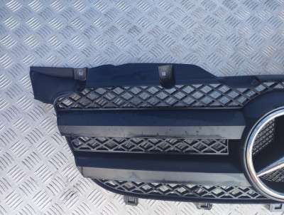 Решетка радиатора Mercedes-Benz Sprinter W 906 (2006-2014) дорестайл