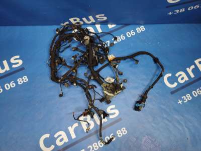 Проводка двигуна Ford Escape 3 FL ( 2012 - 2019 )
