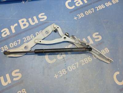 Петля крышки (двери) багажника BMW 3 E92 (2006-2010)
