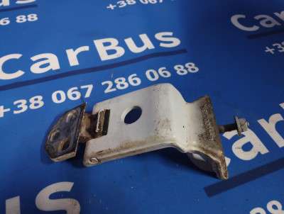 Петля двері розпашной RENAULT MASTER III