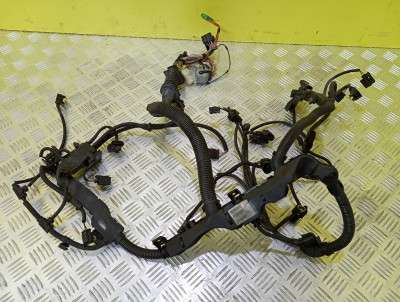 Проводка (жгут проводов) BMW X5 E70 (2010-2013) рестайл