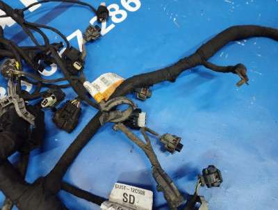 Проводка двигуна Ford Escape 3 FL ( 2012 - 2019 )