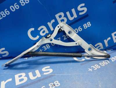 Петля кришки (двері) багажника BMW 3 E92 (2006-2010)