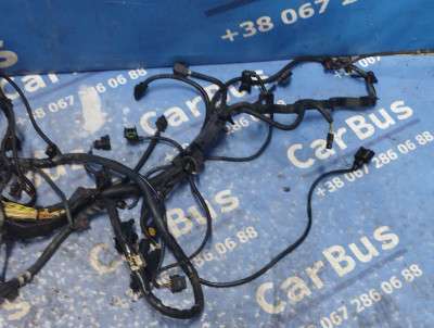 Проводка двигуна BMW X5 E70 (2010-2013) рестайл