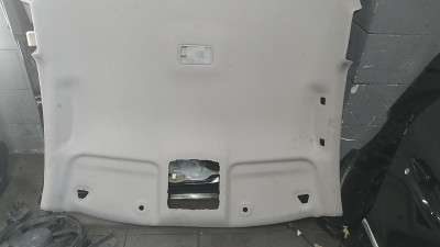 Обшивка стелі (стеля) Nissan LEAF I 2010-2017