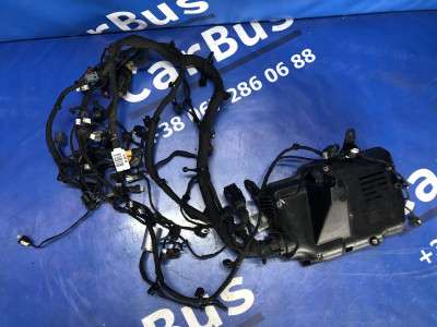 Проводка двигуна Ford Escape 3 FL ( 2012 - 2019 )