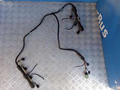 Проводка двигуна BMW X5 E70 (2007-2010) дорестайл